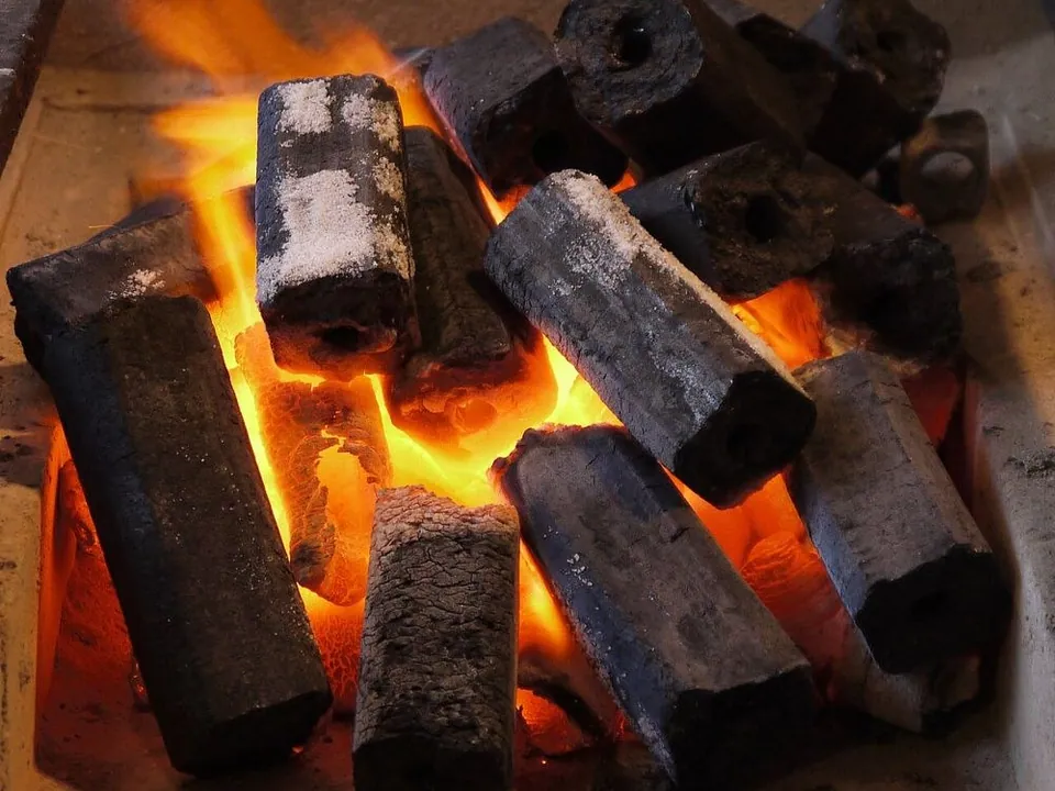 Sawdust charcoal