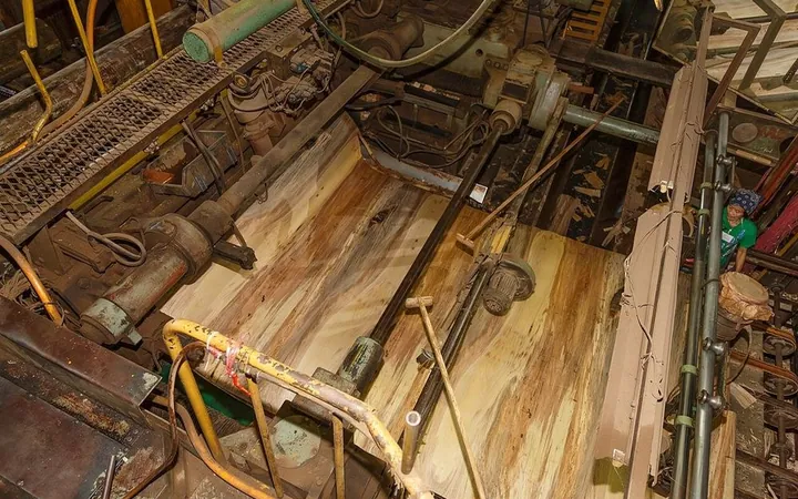 Acacia veneer